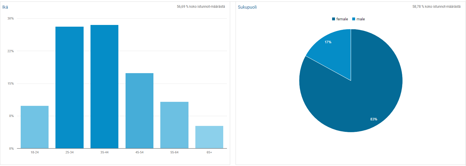 Google Analytics demographics