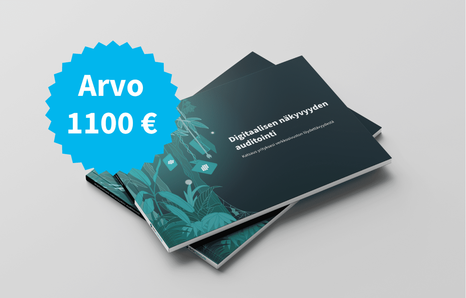 digitaalisen nakyvyyden auditointi arvo