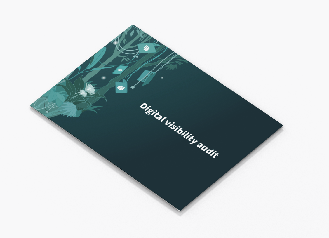 digital visibility audit e1679917661985