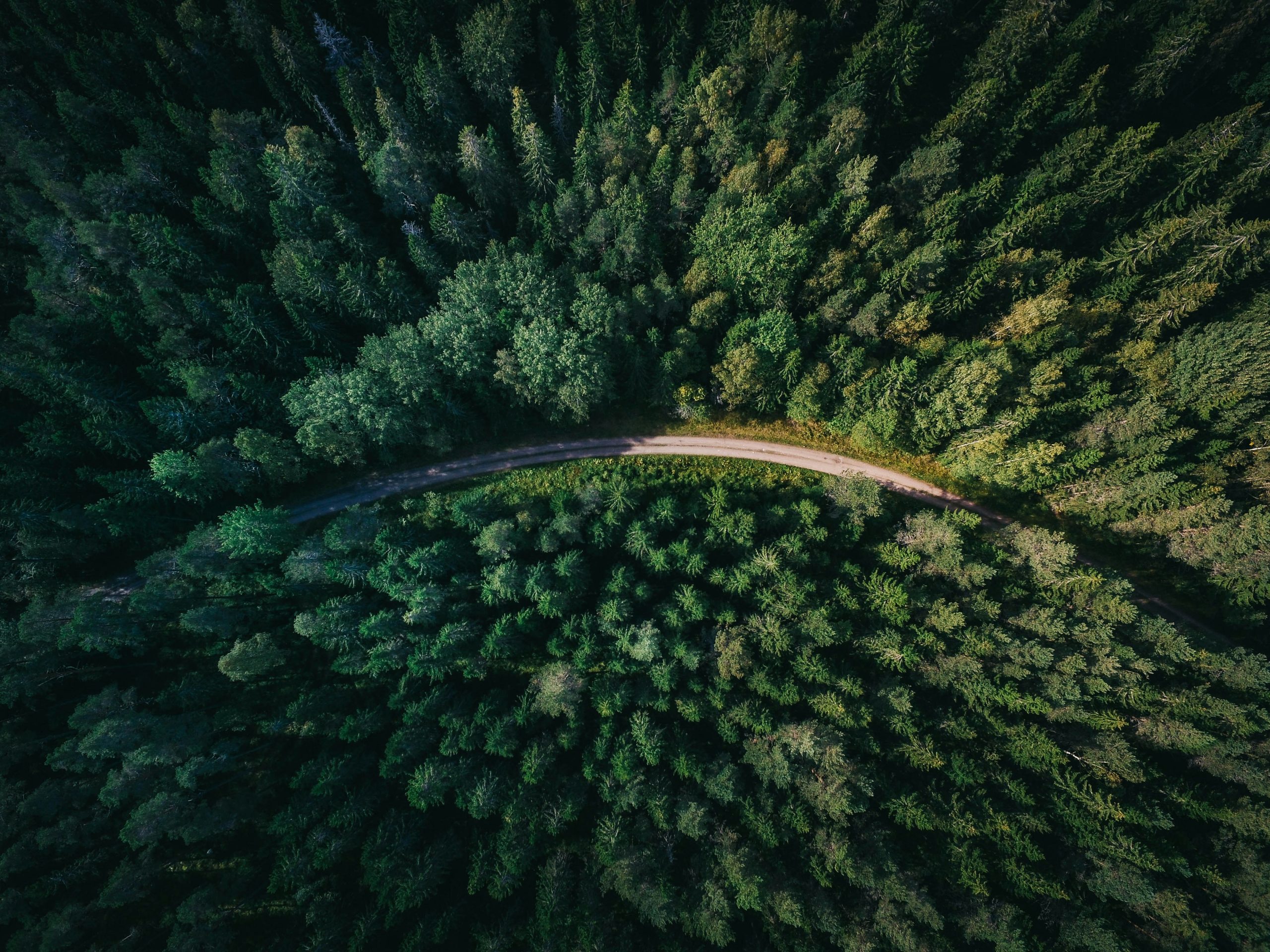 geranimo qzgn45hsen0 unsplash scaled