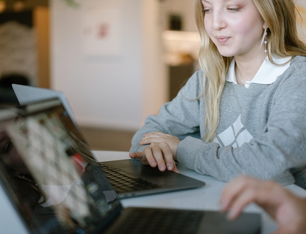 sähköiset asiointipalvelut customer portals