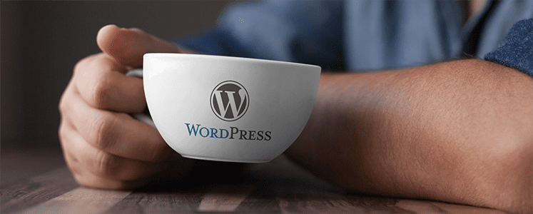 WordPress sivut yrityksellesi